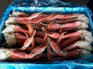 frozen snow crab